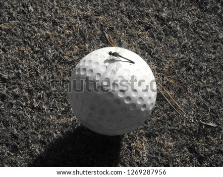 Similar – 3-POINT Mini golf Stone