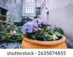 Details of old stone village of Bre Paese on Monte Bre in Ticino above Lugano. Traditional simple living surrounded by flowers