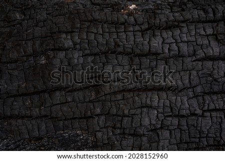 Details patterned surface texture of burnt wood texture.