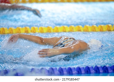 Details With A Professional Female Athlete Swimming In A Aompetition Swimming Pool Butterfly Style