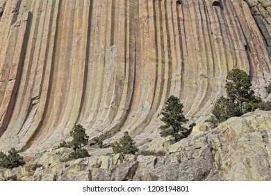 Details of the rocks slopes of Devils Tower