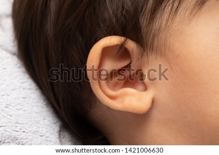 Details and shape of the human outer ear are viewed closeup on t