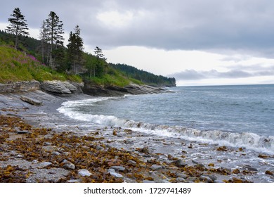 Details Of The Shoreline In A Gaspé Peninsula Bay