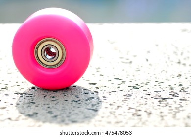 Details Of A Skateboard Wheel