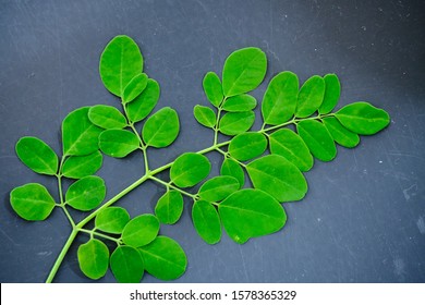 Malunggay Leaves Images, Stock Photos & Vectors | Shutterstock