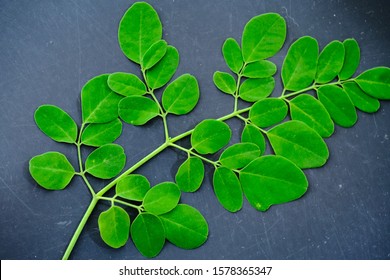 Malunggay Leaves Images, Stock Photos & Vectors | Shutterstock