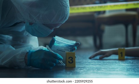 Detective Collecting Evidence In A Crime Scene. Forensic Specialists Making Expertise At Home Of A Dead Person. Homicide Investigation By Professional Police Officer.