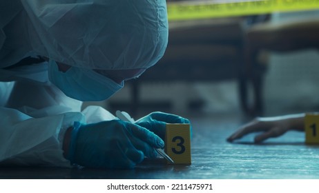 Detective Collecting Evidence In A Crime Scene. Forensic Specialists Making Expertise At Home Of A Dead Person. Homicide Investigation By Professional Police Officer.