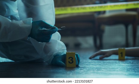 Detective Collecting Evidence In A Crime Scene. Forensic Specialists Making Expertise At Home Of A Dead Person. Homicide Investigation By Professional Police Officer.