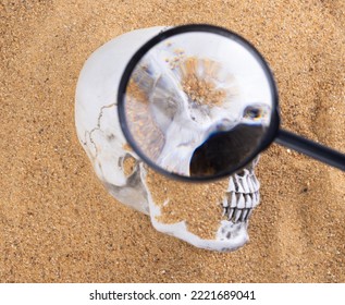 Detective Collecting Looking Evidence Cause Of Dead In A Crime Scene. White Bone Skull Found Under Sand In Island As Treasure Map. Magnifier Investigate Some Clue Mystery, Copy Space