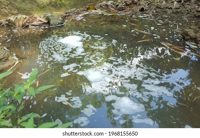 Detergent Foam Waste In River Water