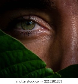 A Determined Eye Of An Iranian-Azerbaijani-American Woman Ready To Fight For Women's Rights.