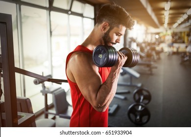 Determined Male Working Out In Gym