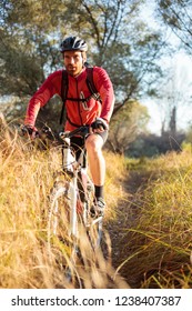 Determined Young Bearded Man In Red Long Sleeve Cycling Jersey Riding Mountain Bike Along A Path Through Tall Grass. Low Angle Front View.