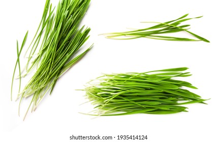 Detox Food Superfood Green Organic Barley Sprout Grass Isolated On White Background.