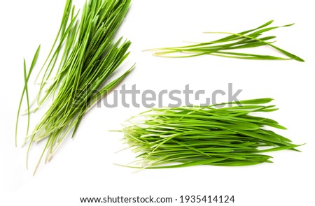 Detox Food Superfood Green Organic Barley Sprout grass isolated on white background.