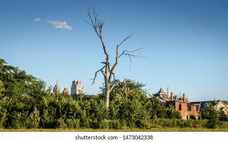 Detroit City Neighborhood With Many Abandoned And Neglected Properies