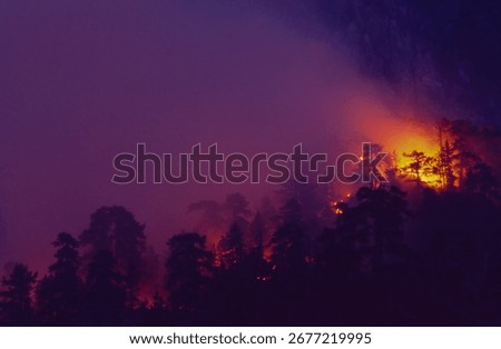 A devastating forest fire in Croatia in the evening.