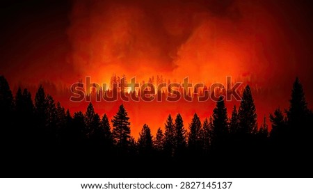 A devastating forest fire rages, illuminating the night with a fiery glow, silhouetting a dense line of evergreen trees.