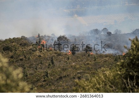 Devastating wildfire burns across the landscape of Sir Lowry's Pass in South Africa. Careless actions sparked this destructive blaze.