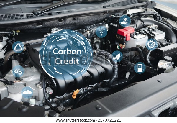 develop carbon\
credit business to reduce global warming for quality growth.Energy\
saving concept car\
business.
