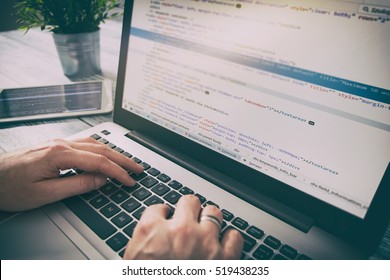 developer development web code tech coding program programming html screen script internet profession dictionary communication occupation identity concept - stock image