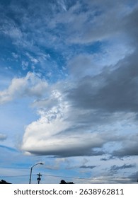 Developing Cumulus Updraft with Rotation