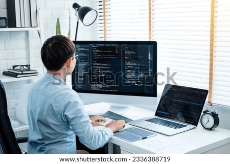 Developing programmer Development Website design and coding technologies working in software company office
