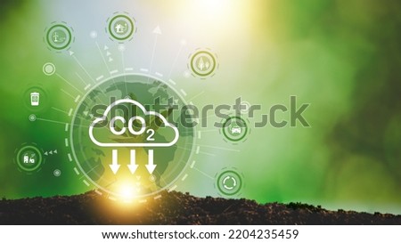 Developing sustainable CO2 concepts and Reduce CO2 emissions and carbon footprint to limit global warming and climate change. sustainable environmental management, Greenhouse from renewable energy