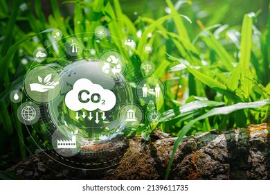 Developing sustainable CO2 concepts and renewable energy businesses An environmentally friendly approach using renewable energy and can limit climate change, climate, global warming - Shutterstock ID 2139611735