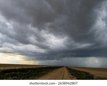 Developing Thundershower over the High Plains