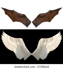 Devil And Angel Wings