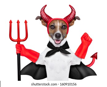 Devil Dog Behind A Blank White Banner