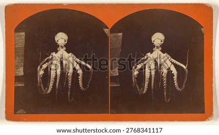 Devil Fish by Samuel T Blessing. Vintage animal photography. Unknown date and location.