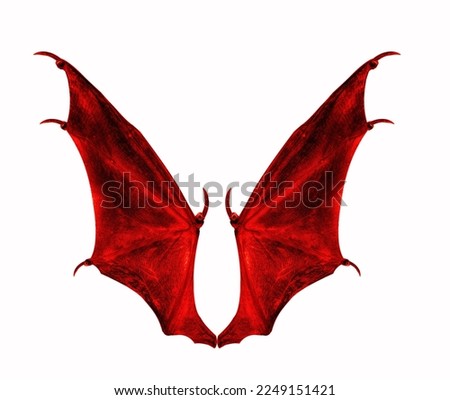 devil wings  isolated on white.