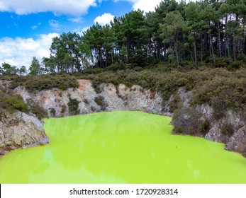 Devil's Bath Green Arsenic Waters In Wai-o-tapu Thermal Wonderland In New Zealand