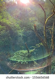 Devils Den Sinkhole In Florida 