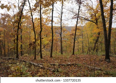 Devils Den State Park In Autum