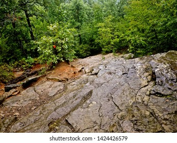           Devils Den Trail In The Fall. 