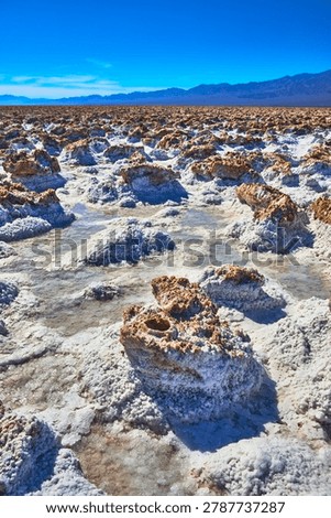 Devil's Golfcourse Salt Formations and Distant Mountains Under Clear Blue Sky