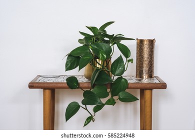 Devil's Ivy Plant Of A Table Next To A Candle Holder