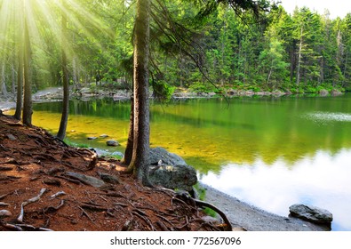 Devil`s Lake In The National Park Sumava,Czech Republic.