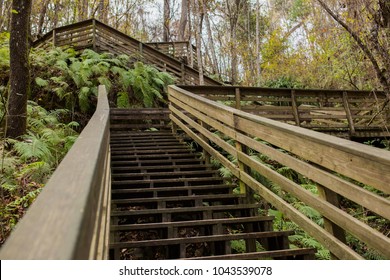 Devil's Millhopper Wooden Stairs In Gainesville, FL