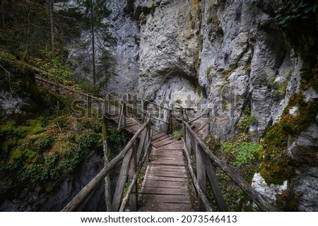 Devil's Path - picturesque eco-path and hiking trail in the Rhodopes mountains, Bulgaria. Wooden  bridge at autumn
