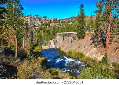 Devils Postpile River Canyon and Pine Forest under Clear Blue Sky in California