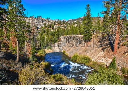 Devils Postpile River Canyon and Pine Forest under Clear Blue Sky in California