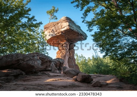 Similar – Image, Stock Photo Palatinate Forest Tree