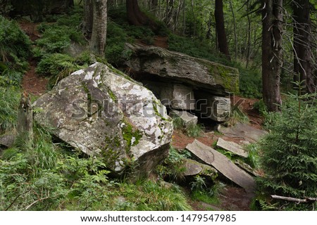 Devil's table rock (Certuv stul), Devil's Mill (Certuv mlyn), near Knehyne hill, Beskid mountains, Czech Republic / Czechia - natural heritage of godul sandstone block. Low depth of field
