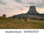 Devils Tower in the Bear Lodge Mountains near Hulett and Sundance in Crook County, northeastern Wyoming