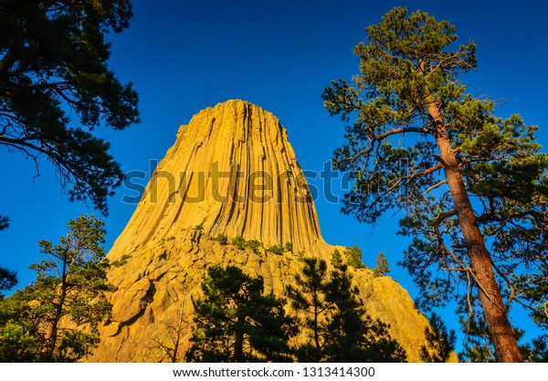 Devils
Tower framed by tall pine trees. Devils Tower National Monument, a
unique and striking geologic wonder steeped in Indian legend, is a
modern day national park and climbers'
challenge.